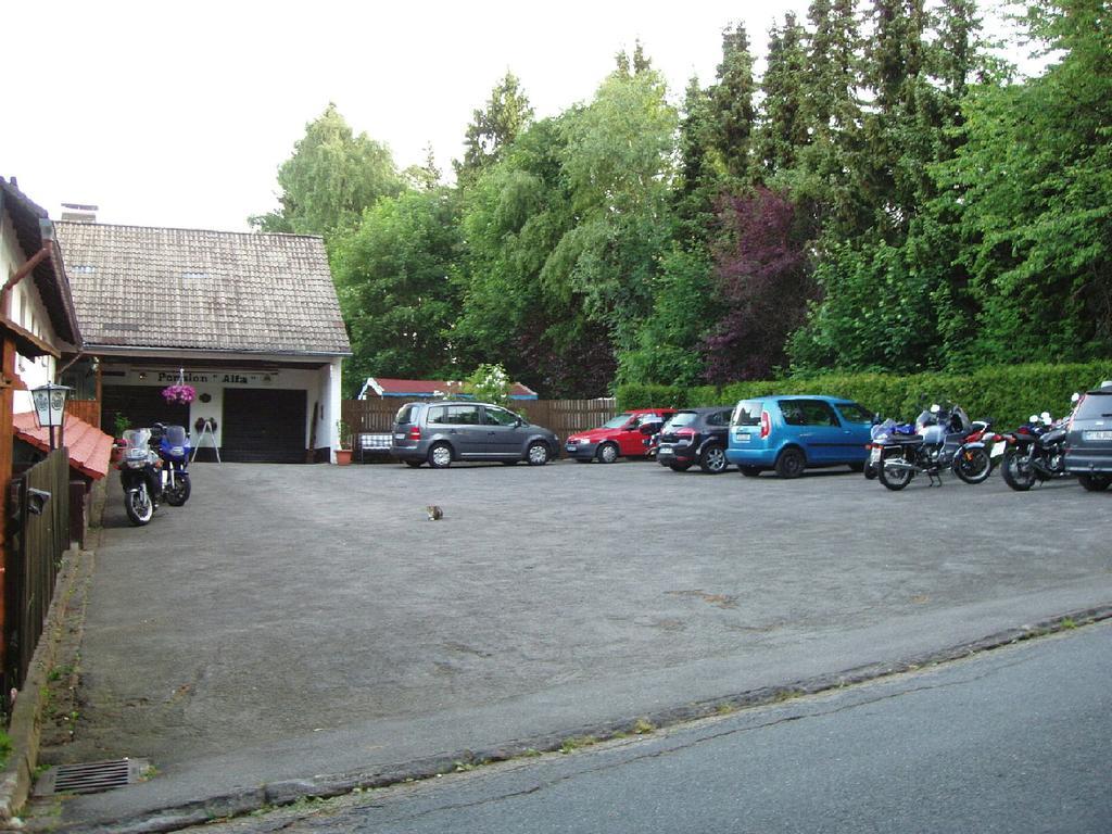 Pension Alfa Sankt Andreasberg Bagian luar foto