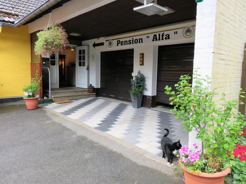 Pension Alfa Sankt Andreasberg Bagian luar foto